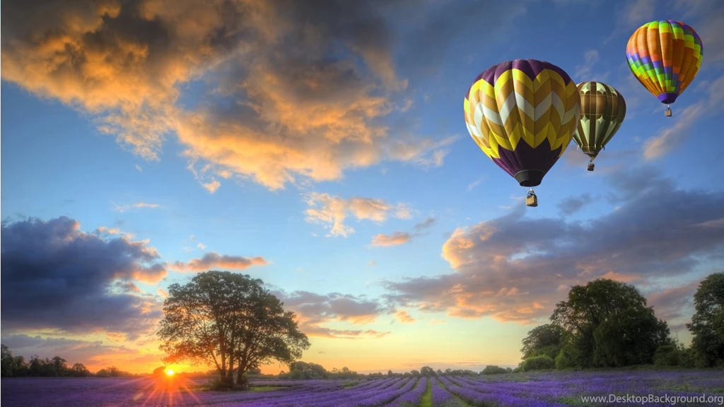Download Hot Air Balloons Over Lavender Fields Sunset Free ...