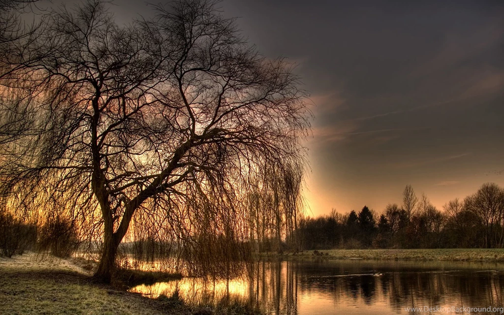 Best Wallpaper Backgrounds Wallpapers Zone
