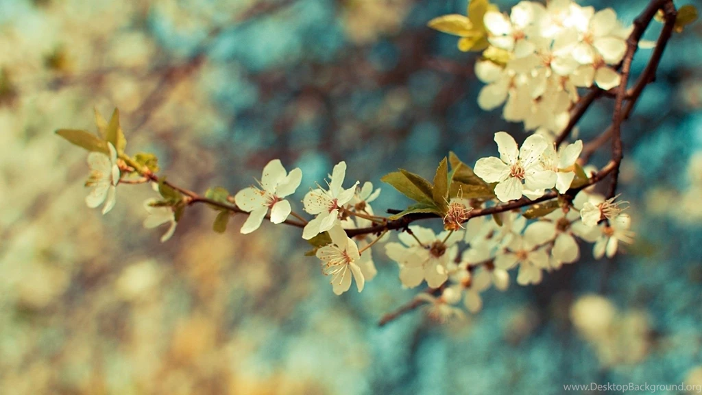 Vintage Flowers Wallpapers Wallpapers Cave