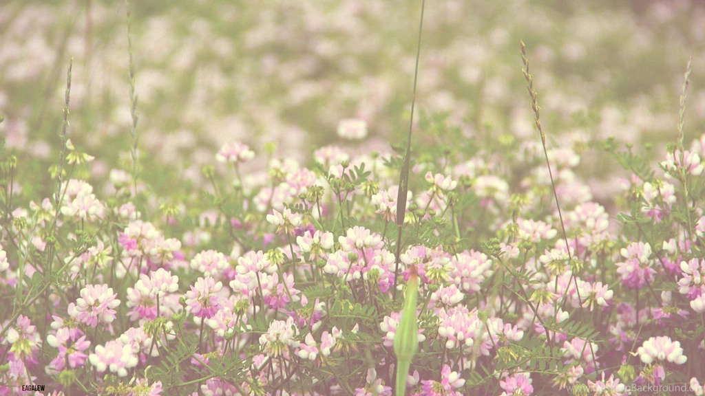 Vintage Flower Wallpapers
