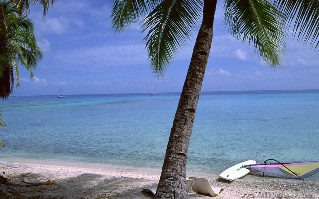 Seaside And Coco - Landscape Wallpapers Free Download ...