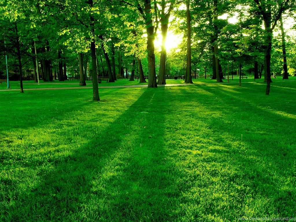 Wallpaper: Park Wallpapers