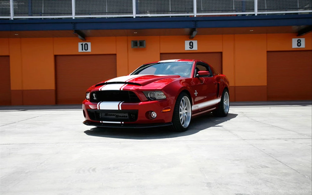 Shelby American GT500 Super Snake 2013 Widescreen Exotic Car ...