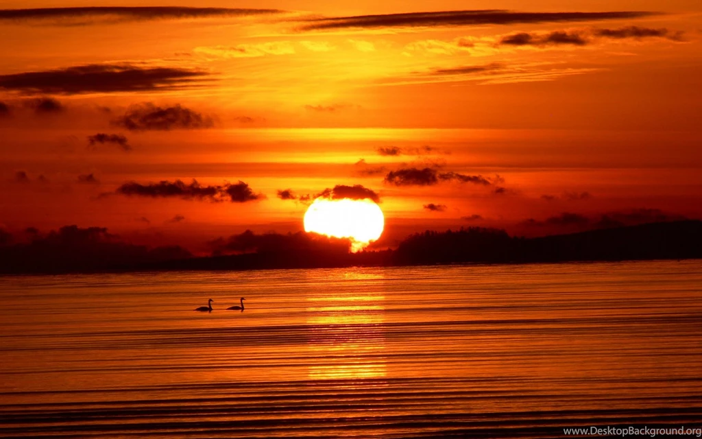 Sunrise Wallpapers