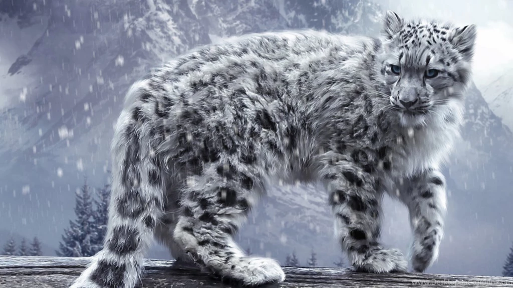Wildlife Hd Wallpapers