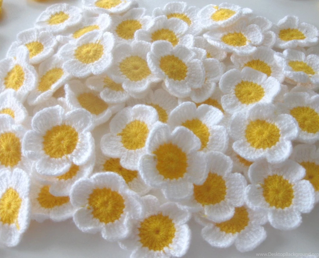 Sweet White Flower Wallpapers Hd