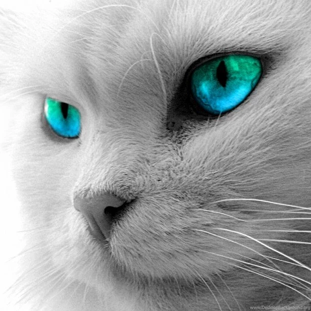 iPad Wallpapers: 100 Beautiful Hi Res iPad Wallpapers ...