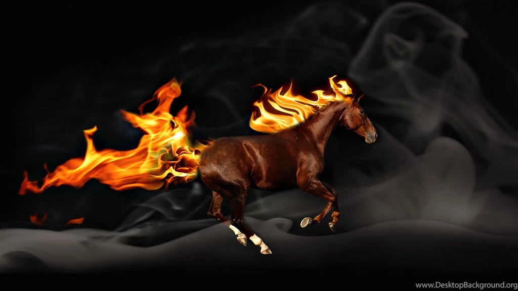 Horse Backgrounds Pictures Wallpapers Cave