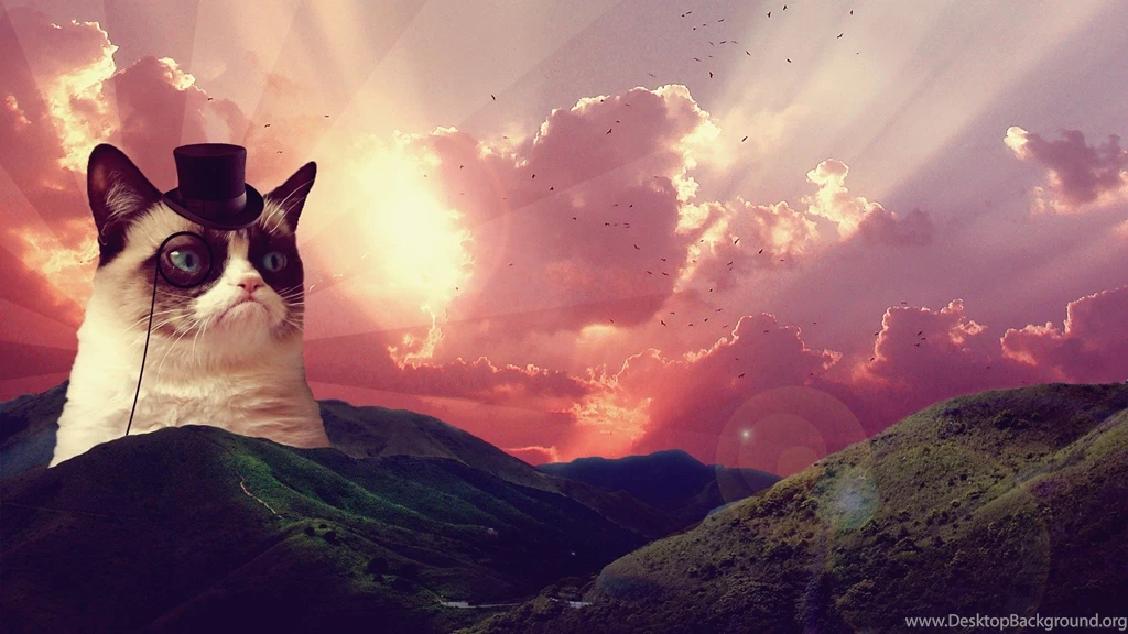 Cat, Grumpy Cat, Hat, Hill, Landscape, Clouds, Birds, Animals ...