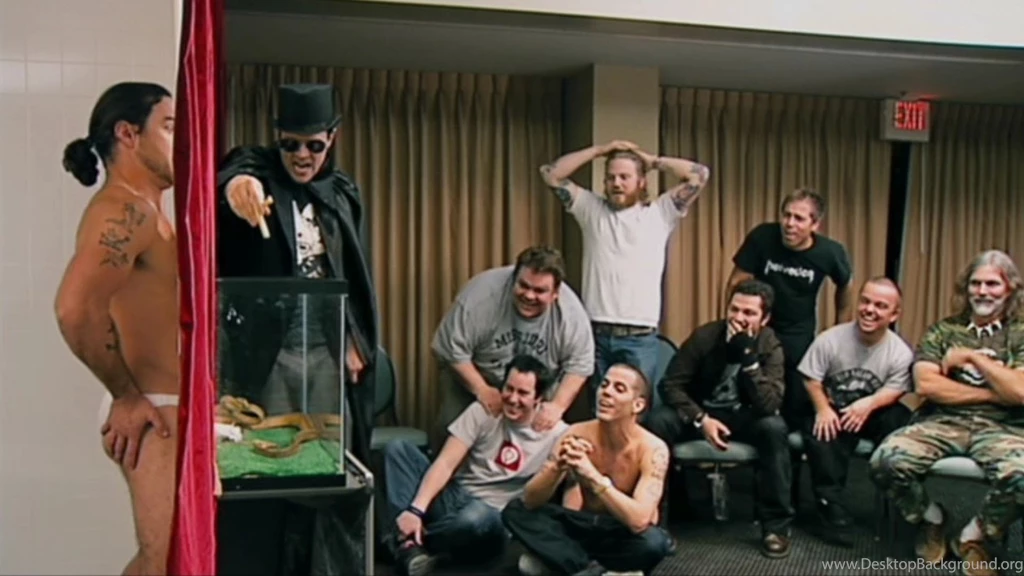 Jackass Number Two Movie 1920x1080 Wallpapers, 1920x1080 ...