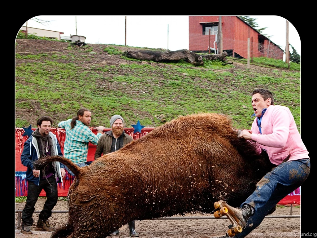 Download Wallpapers, Download 1920x1440 Movie Posters Jackass 3d ...