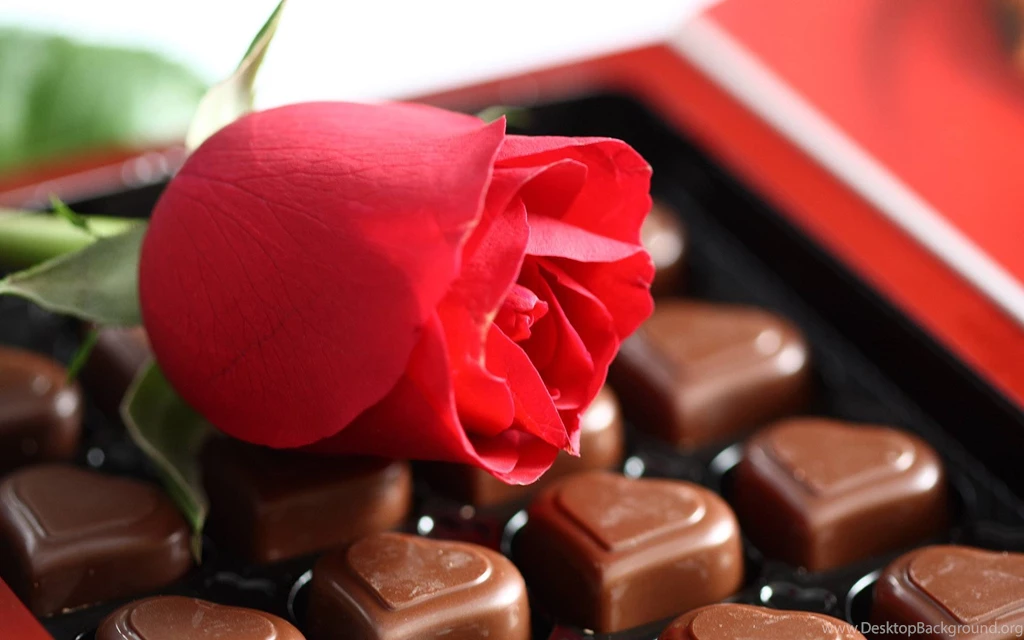 Sweet Love Colorful Flowers Wallpapers