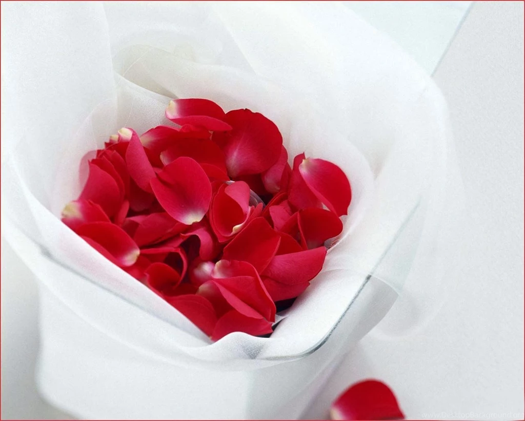 Nice And New Love Images Image Wallpapers