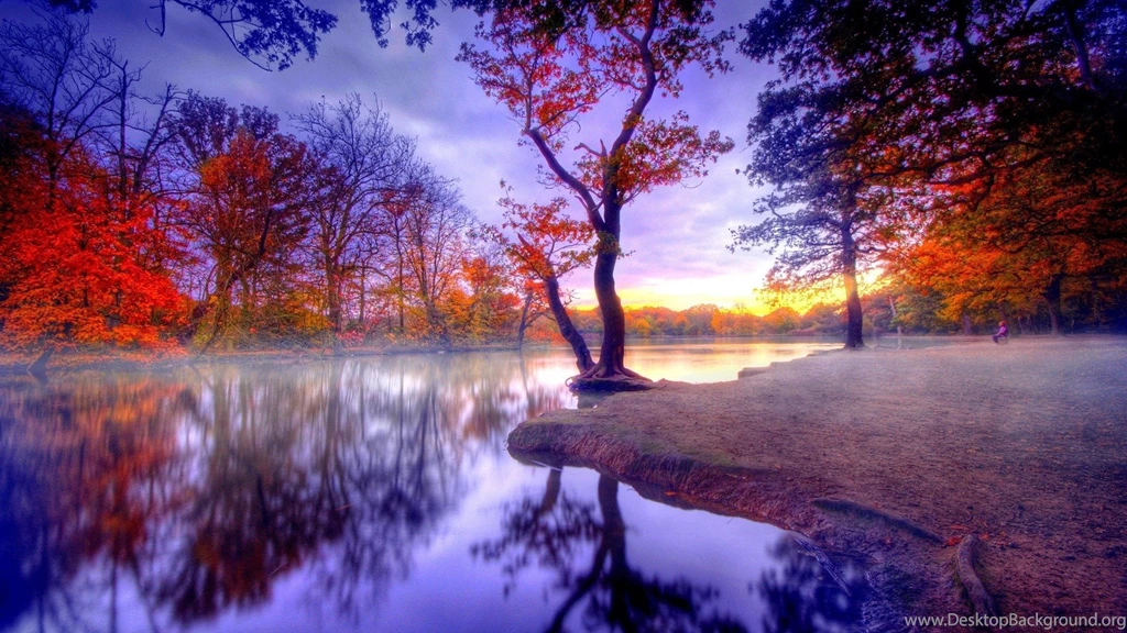 Beautiful Picture