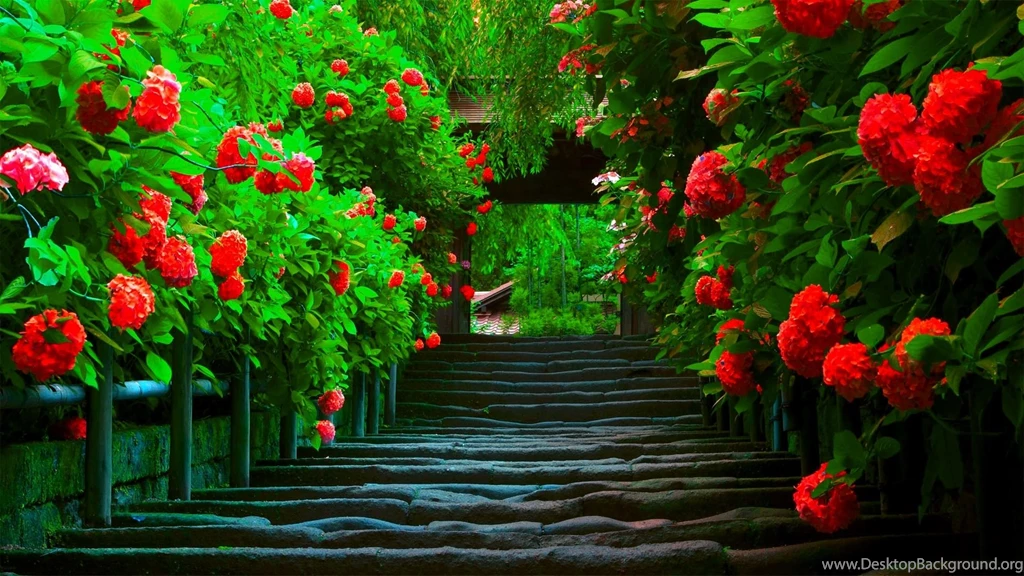 Pretty, Path, Landscape, Widescreen, Hd, Wallpaper, Free ...