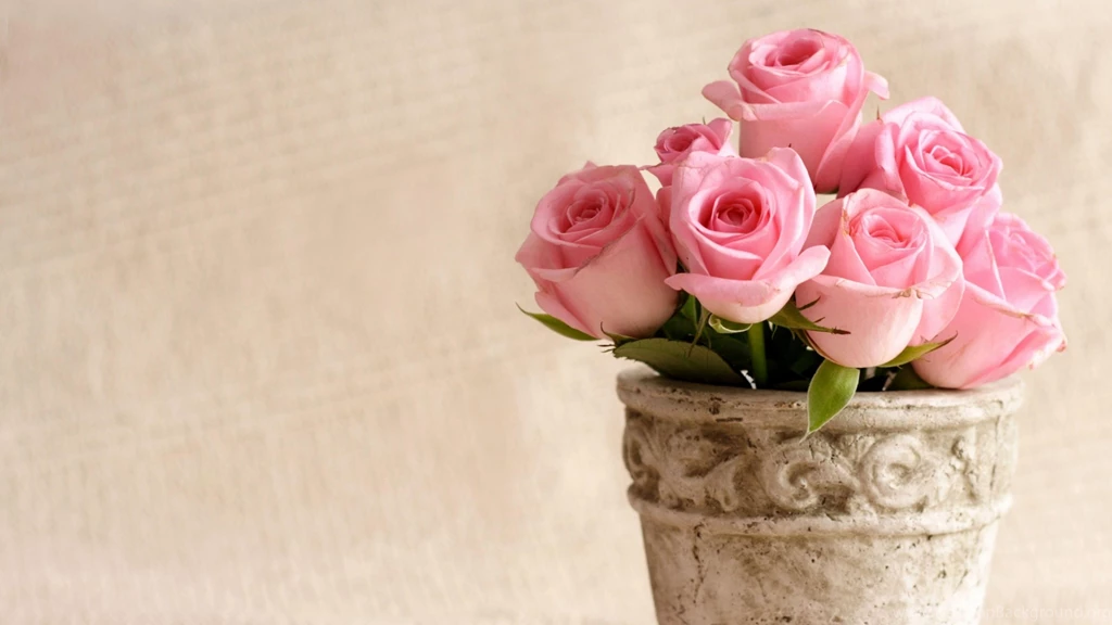 Mac iMac 27 Flowers Wallpapers, Desktop Backgrounds HD