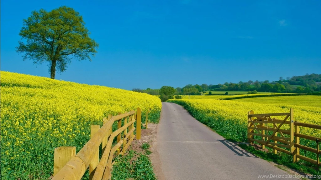 Beautiful Landscape Of Farm Wallpapers For Desktop Zibrato