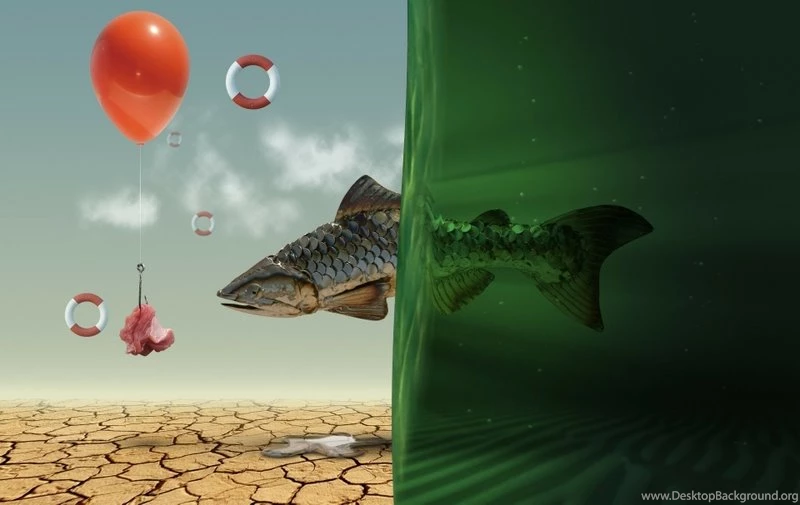 Colorful,abstract Abstract Colorful Fish Balloons 1920x1213 ...