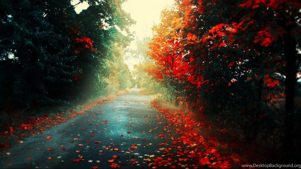Quality Wallpapers HD Wallpapers, Wallpapers