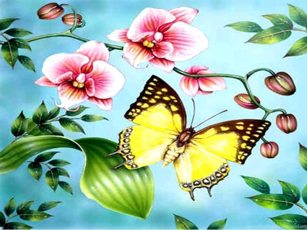 Spring Butterflys Flowers Butterfly Leaves Butterflies Phone ...