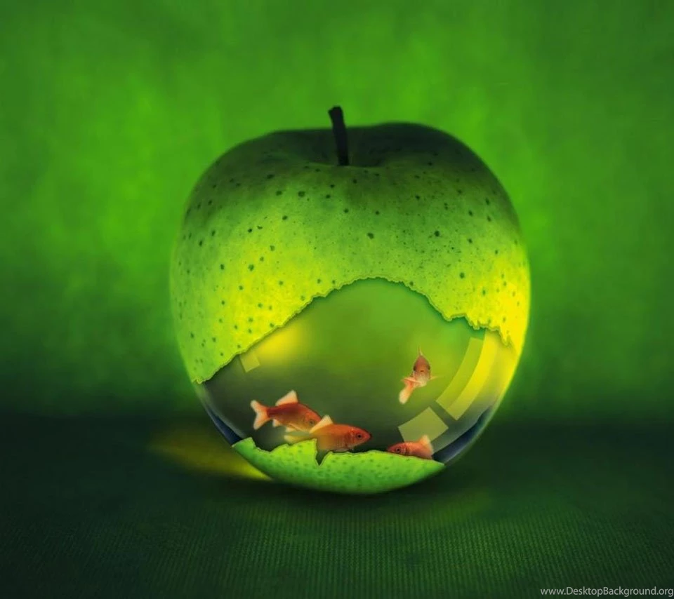Free Wallpapers For Android Wallpapers Zone