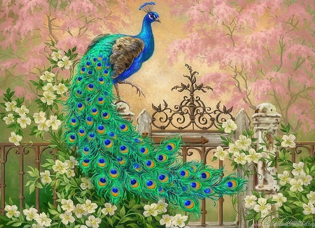 Jewel Garden Flowers Paintings Peacock Colors Lovely Beautiful ...