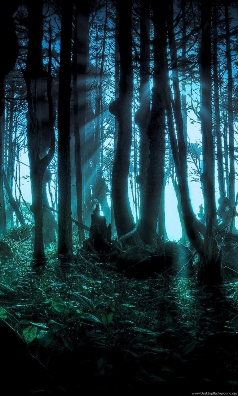 Halloween Pacific Forests Scary Wallpapers