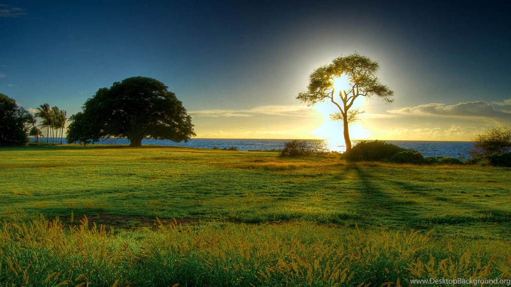 Best Nature HD Wallpapers For Desktop HD Wallpapers Inx