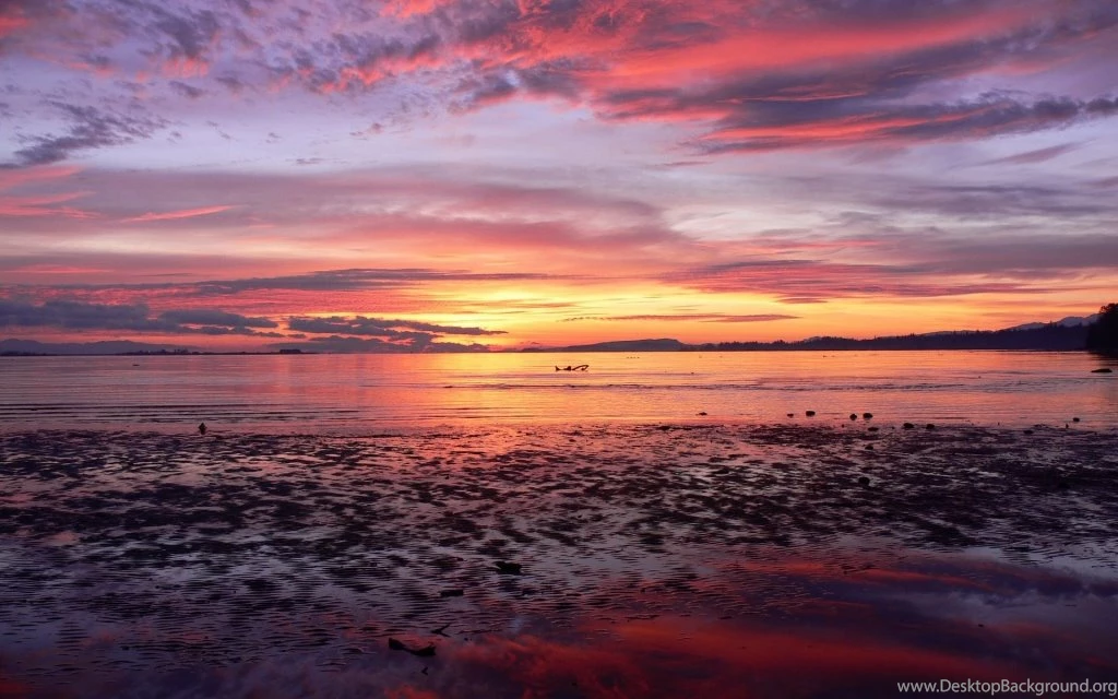 100 Beautiful & Amazing Nature HD Wallpapers TechBlogStop