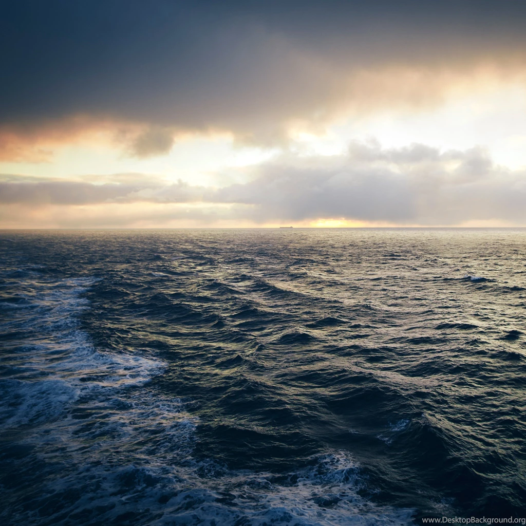 Newfoundland Stress iPad Air Wallpapers Download