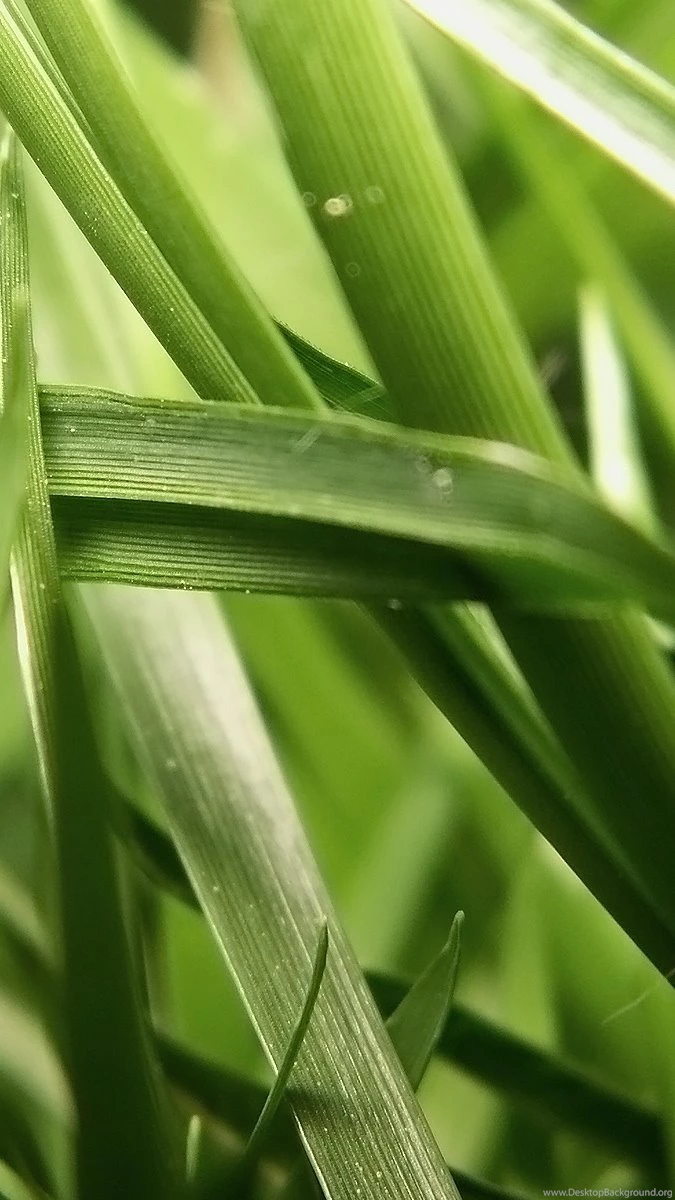 The Galaxy S III Wallpapers Blog