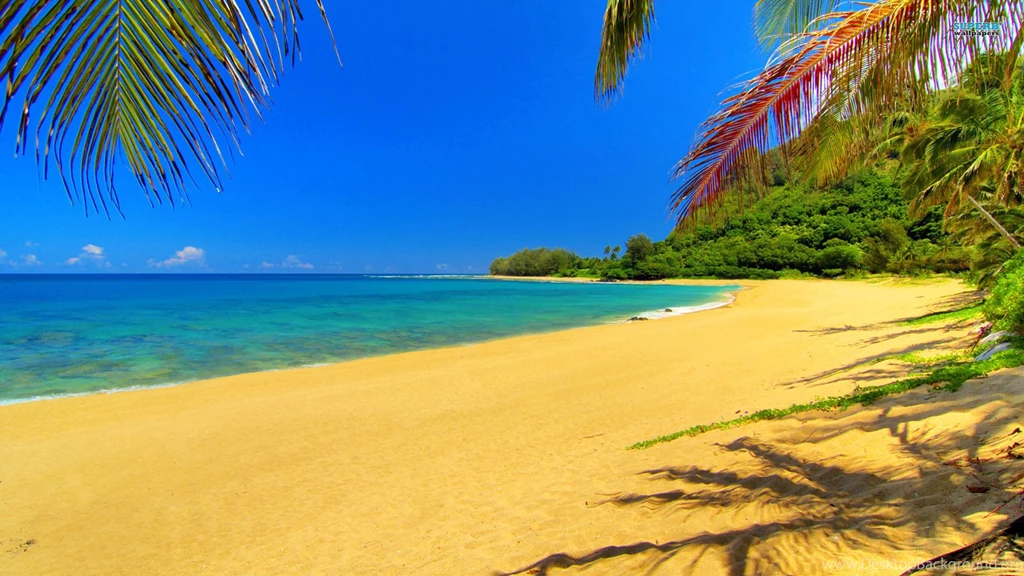 Golden Sands Beach Wallpapers