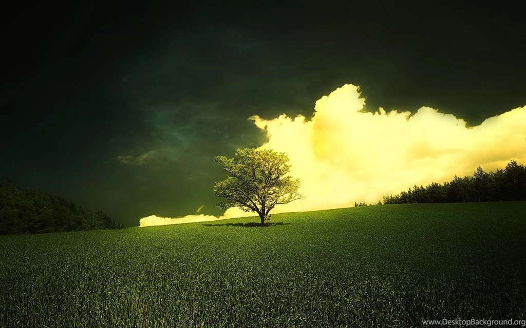 HD Desktop Wallpapers Wallpapers (23106897) Fanpop