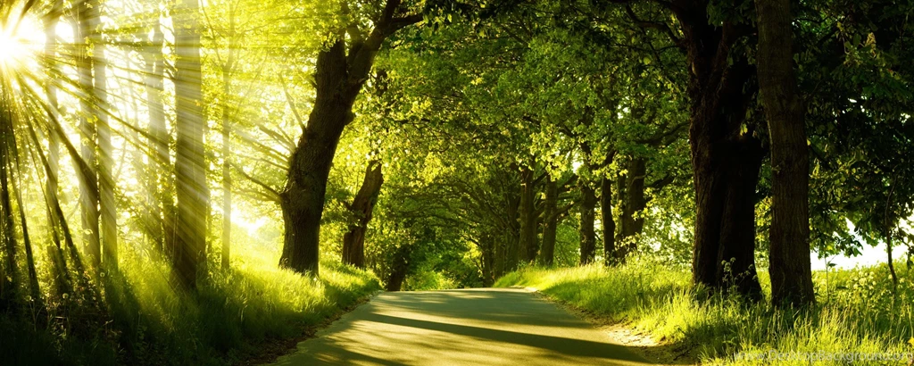 Hd Wallpapers Nature