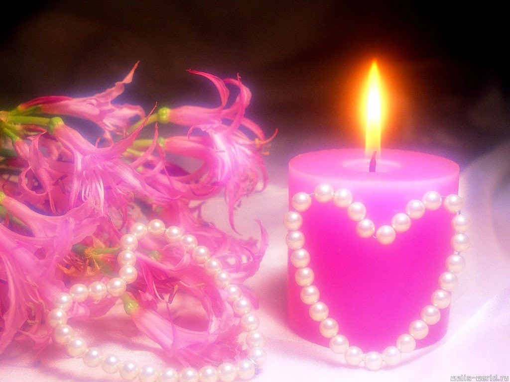 Pink Valentine Roses