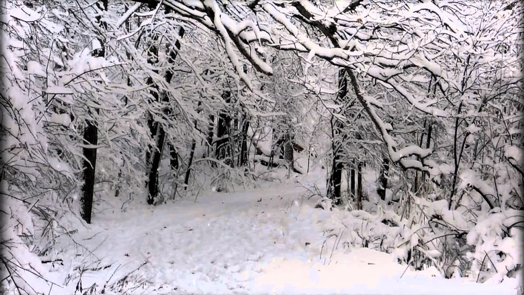 Free Snow Scene Motion Backgrounds HD 1920x1080 YouTube