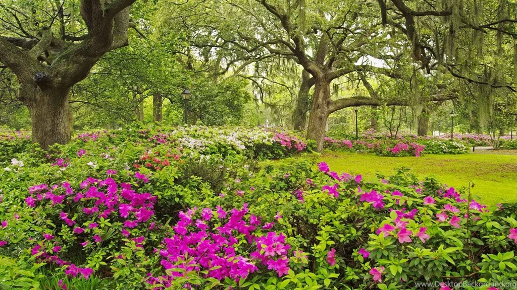 Download World Georgia Wallpapers 1920x1080