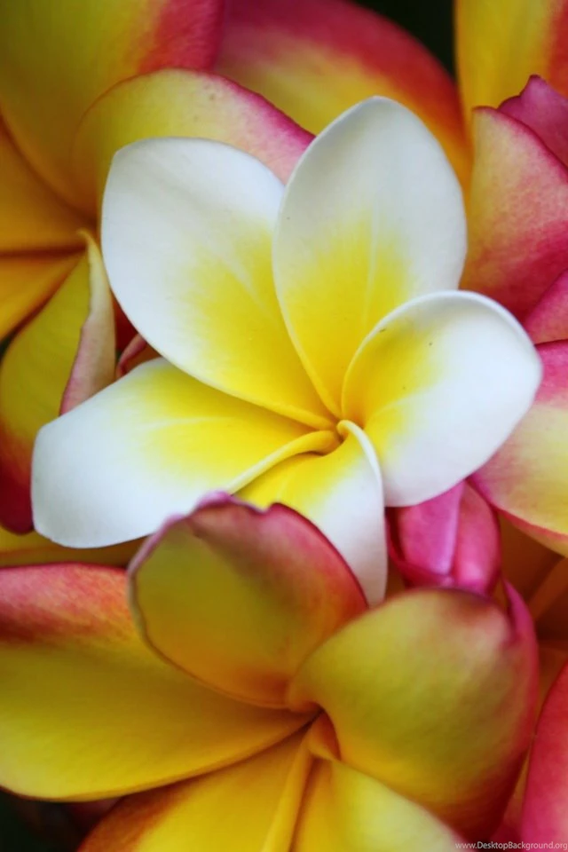 Iphone Lock Screen Wallpapers
