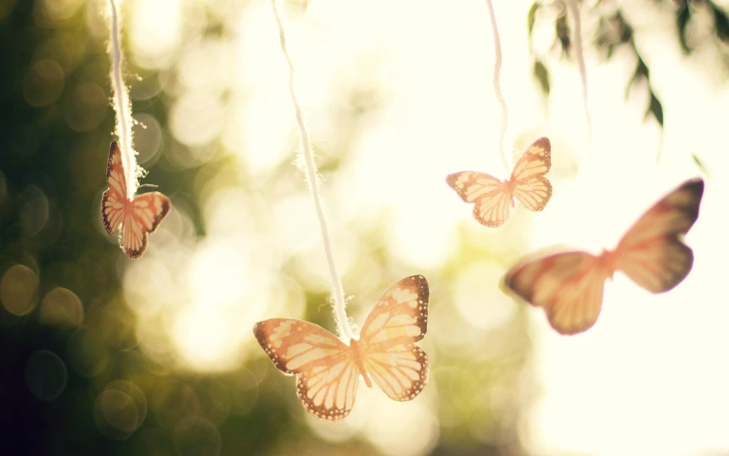 Cute, Butterfly, Bokeh, Widescreen, Hd, Wallpaper, Download ...