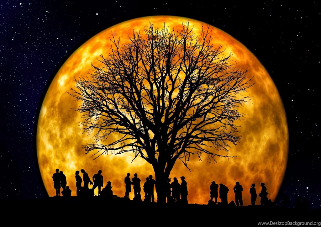 Halloween Wallpapers