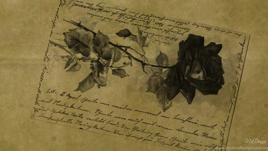 Old Rose Postcard Wallpaper, Rose Flower Images, Rose Pictures And ...