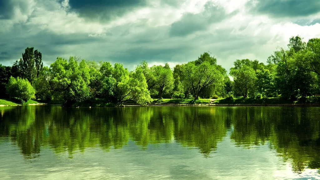 Download Wallpapers 2560x1440 Lake, Trees, Coast, Summer, Cloudy ...