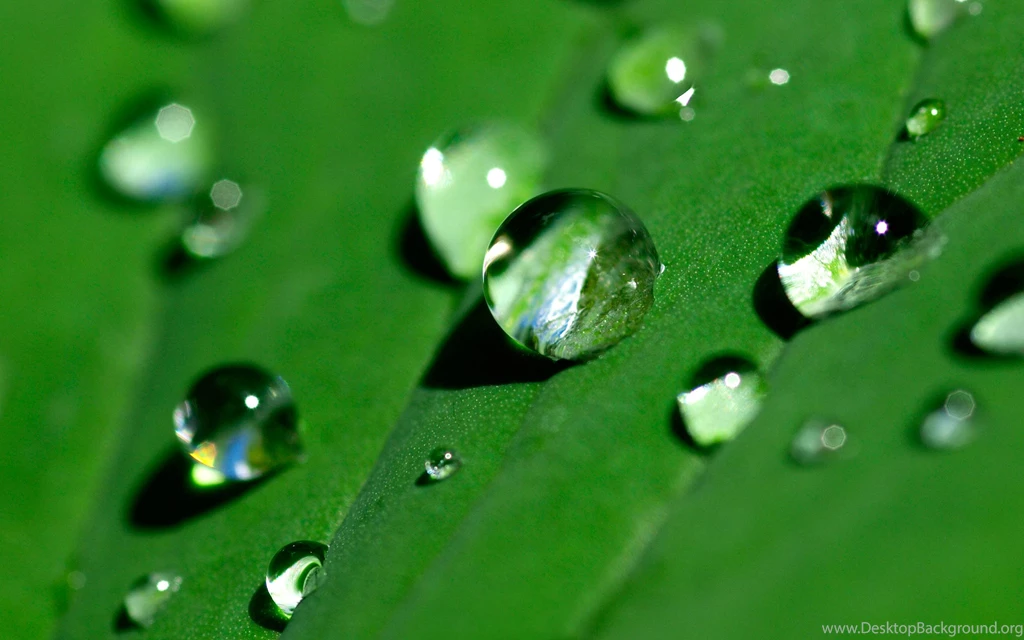 Water Droplet Wallpapers Wallpapers Cave