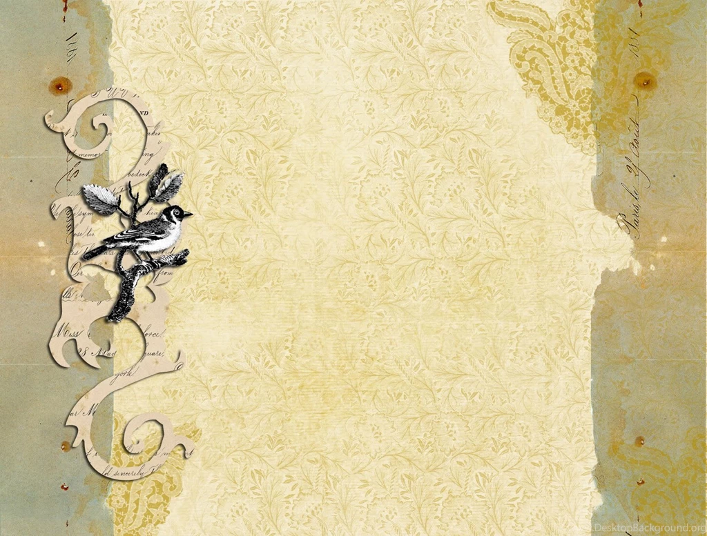 Aged Backgrounds With Bird Photo By Jeweledfrog_photo