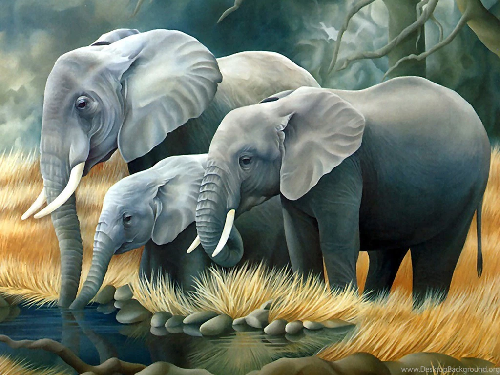 3D Elephant Animal Pictures And Wallpapers