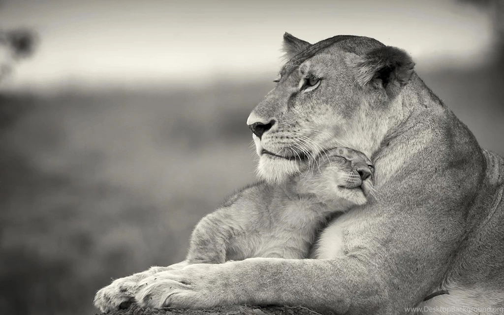 Mom Son >> HD Wallpaper, Get It Now!