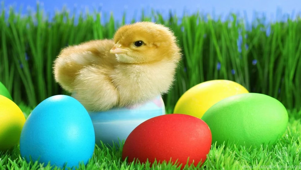 HD Chick Wallpapers Wallpapers Cave