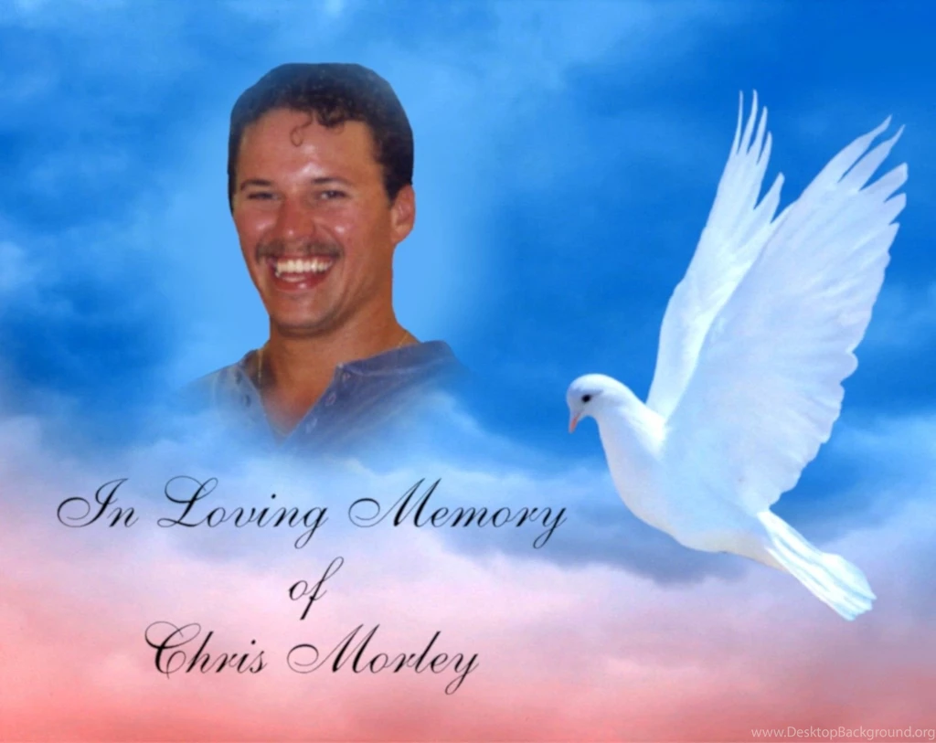 Personalized Custom In Loving Memory Dove And 50 Similar Items Desktop ...