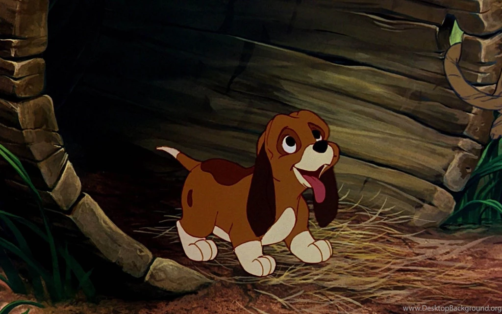 The Fox And The Hound HD Wallpapers (High Quality) All HD Wallpapers ...