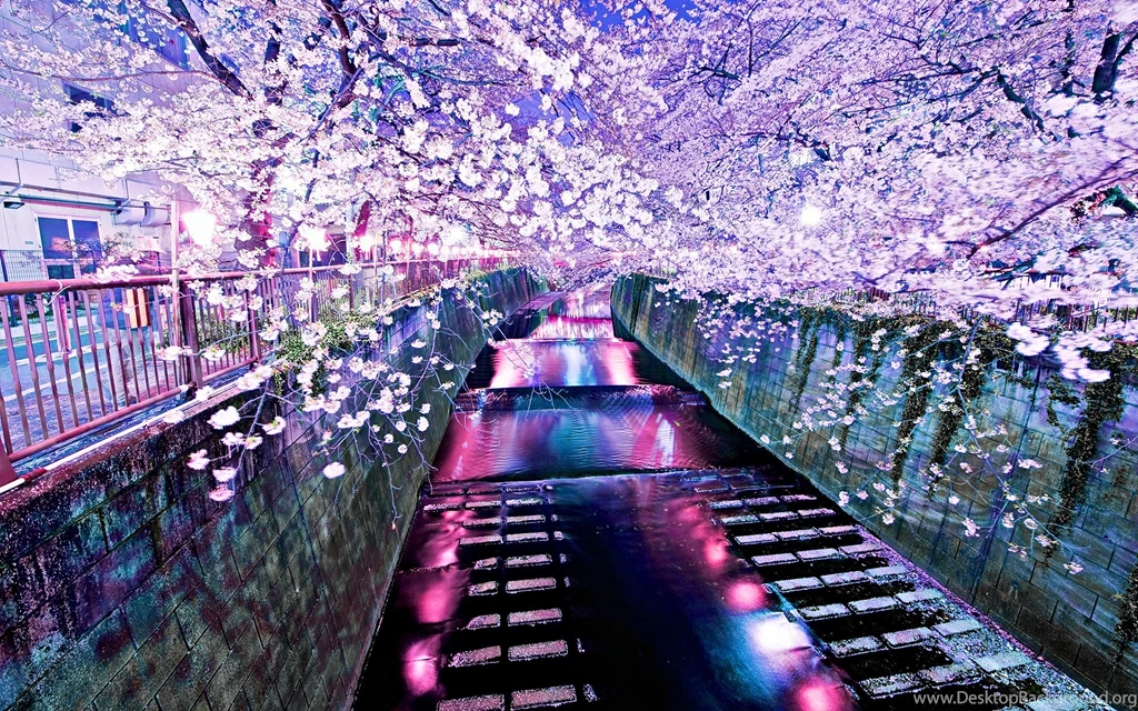 Cool Flowers Desktop Backgrounds: Free Cherry Blossom HD